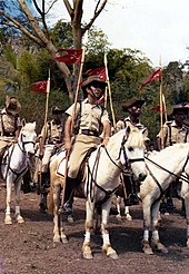 East Timorese men on horses