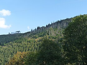 Vue du Petit Brézouard à gauche et du Grand Brézouard à droite.