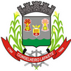 Official seal of Conselheiro Lafaiete