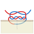 Diagram of a surgeon's knot