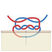 Surgeon's knot