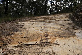 Convict-built road, Mount McQuoid, Great North Road, Bucketty, NSW.