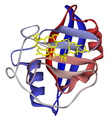 Cyclophilin A in complex with ciclosporin