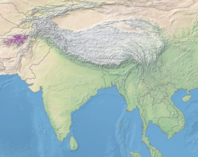 Image illustrative de l’article Hazaradjat