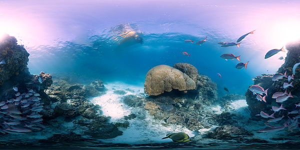 Seaview SVII panorama of Heron Bommie, by Underwater Earth / Catlin Seaview Survey
