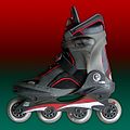 Typical inline skate