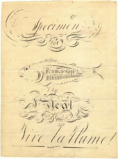 Black ink on yellowed paper displaying fancy line work and the fanciful image of a fish