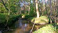 Zusammenfluss von Lache und Gersprenzarm