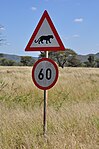 Leopard (Namibia)