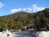 Wald im Llogara-Park