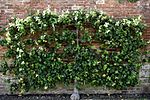 Boundary walls to Orangery and Cedar gardens at Tredegar House