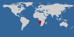 Distribución del inseparable de Namibia