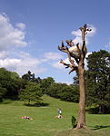 Idee di Pietra av Giuseppe Penone