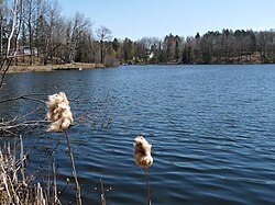 Looking southeast across the north end of Lake Kathryn from Lake Road, in April