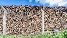 Piles of chopped dry ecalyptus wood in near Butare town in Bushenyi district in Western Uganda