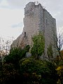 Château de Ramstein ruines