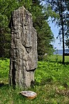 Runstenen Sö 73 i Lyttersta på gränsen mot Östergötland.