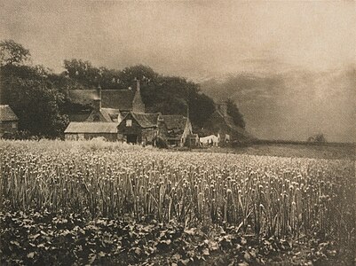 The Onion Field, at and by George Davison (restored by Adam Cuerden)