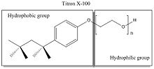 Nonionic detergent triton X-100 has a hydrophobic group and a hydrophilic group, enabling it to separate protein from membranes.