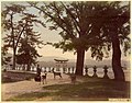 Vue de Miyajima