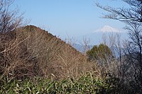 文殊岳からの薬師岳と富士山