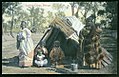 Image 8Historical image of Aboriginal Australian women and children, Maloga, New South Wales around 1900 (in European dress) (from Aboriginal Australians)