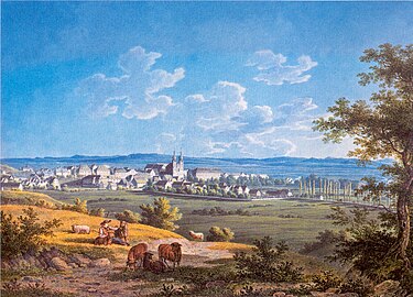 The city of Donaueschingen with the Palace right next to church (1820)