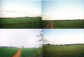 The fields between Dover Avenue in Banbury, Wythicombe Farm and Drayton in 2010. The was a plan to build a housing estate on them, but it has now been dropped, like the 1980' plan to build a Bretchill aligned to Easington Banbury by-pass road.