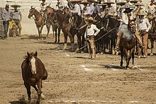 Charro esegue il Piales