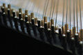A close-up of a Kyiv-style bandura's tuning pins.