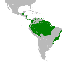 Distribución geográfica del mielero verde.