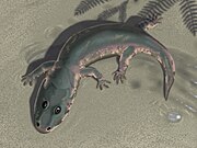 Cryobatrachus kitchingi