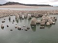 Partially visible Guadalperal dolmen during summer 2012