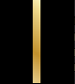 Shoulder rank insignia of a deck cadet or engine cadet