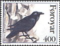 FR 275: North Atlantic raven (Corvus corax varius)