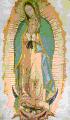 La Madonna di Guadalupe, patrona delle Americhe