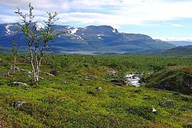 Sjön Kårtejaure och forsen Njabbejåkkå sedda från trädgränsen ovanför Suorva