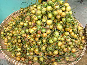 Frutos de Baccaurea racemosa