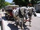 Carriages on Mackinac Island