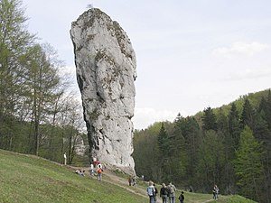 Палиця Геркулеса