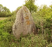 Menhir des Landes