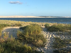 La flèche du Mimbeau. À l'arrière plan au-delà des passes, la dune du Pilat.