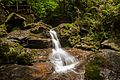 Mini waterfall at the grotto in Becheve Nature Reserve,[10] a major attraction on Obudu Plateau