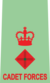 Lieutenant Colonel