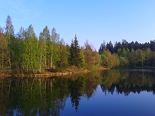 Blick über den Teich