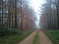 Sonnenberg Nature Reserve