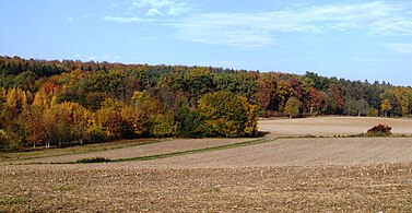 Blick vom Baiertaler Weg Richtung Nordost auf Wald- und Anbauflächen (Parabraunerde)