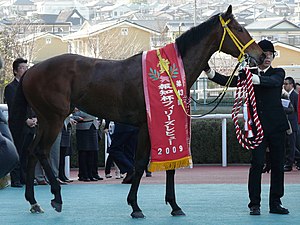 2009年冠軍「一卡美鑽」