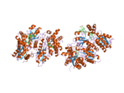 2hre: Structure of human ferrochelatase variant E343K with protoporphyrin IX bound