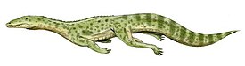 Реконструкция Qianosuchus